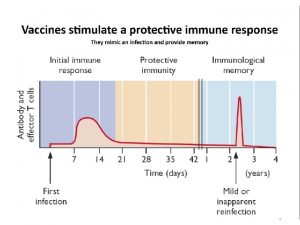 Viral Vaccine Types Inactivated Virus Vaccines Viruses are