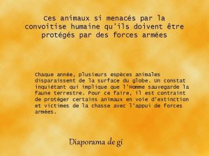 Ces animaux si menacs par la convoitise humaine