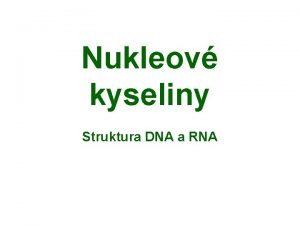 Nukleov kyseliny Struktura DNA a RNA Typy nukleovch