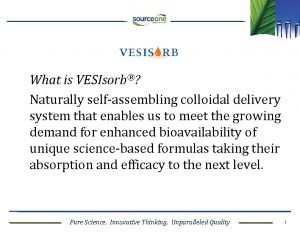 What is VESIsorb Naturally selfassembling colloidal delivery system