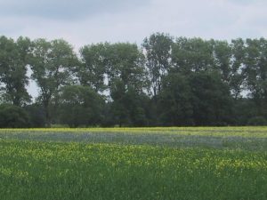 b Buschberghof Ein Hof der Zukunft A Farm