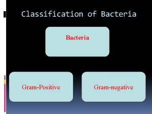 Classification of Bacteria GramPositive Gramnegative GramPositive Bacteria I
