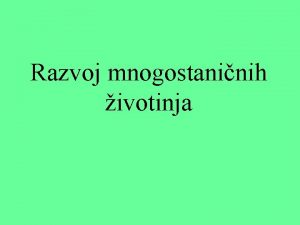 Razvoj mnogostaninih ivotinja Spuve i arnjaci SPUVE spuve