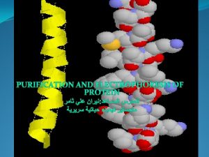 protein isolation purification Chromatography Electrophoresis I Protein Isolation