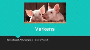 Varkens Carmen Seesink Arthur Jongste en Heleen te