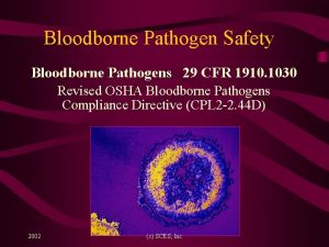 Bloodborne Pathogen Safety Bloodborne Pathogens 29 CFR 1910
