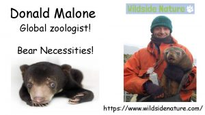 Donald Malone Global zoologist Bear Necessities https www