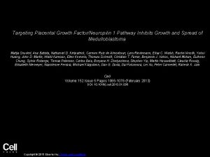 Targeting Placental Growth FactorNeuropilin 1 Pathway Inhibits Growth