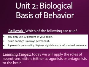 Unit 2 Biological Basis of Behavior Bellwork Which