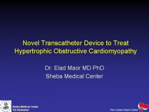Novel Transcatheter Device to Treat Hypertrophic Obstructive Cardiomyopathy