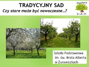 TRADYCYJNY SAD Czy stare moe by nowoczesne Czowiek