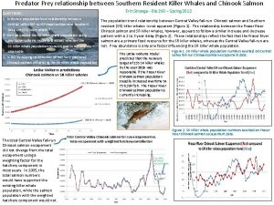 Predator Prey relationship between Southern Resident Killer Whales