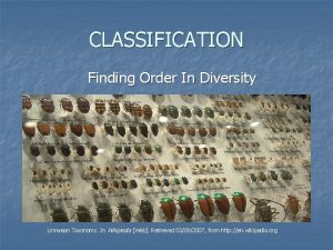 CLASSIFICATION Finding Order In Diversity Linnaean Taxonomy In