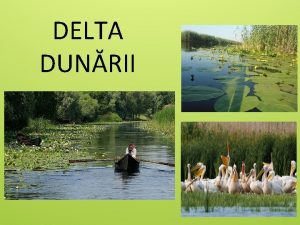 DELTA DUNRII Generaliti Fluviul Dunrea izvorte din Munii