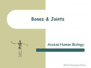 Bones Joints Access Human Biology Clare HargreavesNorris Introduction