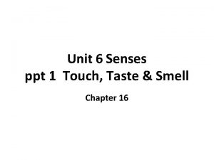 Unit 6 Senses ppt 1 Touch Taste Smell