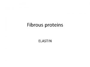 Fibrous proteins ELASTIN Major fibrous protein of epithelial