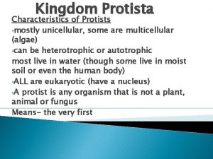 Kingdom Protista Characteristics of Protists mostly unicellular some