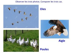 Observer les trois photos Comparer les trois cas