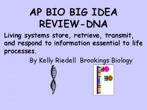 AP BIO BIG IDEA REVIEWDNA Living systems store