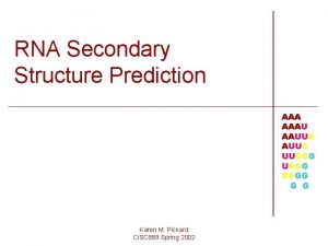 RNA Secondary Structure Prediction AAAU AAUUC UUCCG CCGG