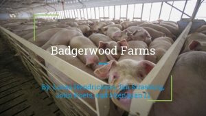 Badgerwood Farms By Lucas Hendrickson Ian Strasburg John