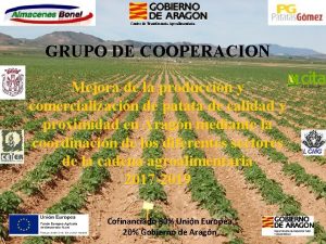 Centro de Transferencia Agroalimentaria GRUPO DE COOPERACION Mejora