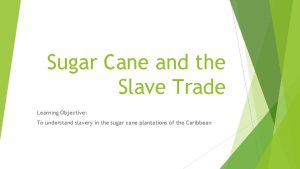 Sugar Cane and the Slave Trade Learning Objective