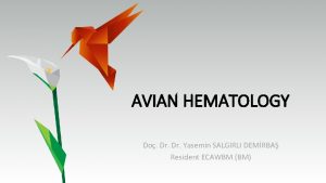 AVIAN HEMATOLOGY Do Dr Yasemin SALGIRLI DEMRBA Resident