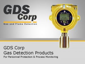 GDS Corp Gas Detection Products For Personnel Protection