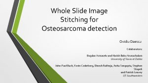 Whole Slide Image Stitching for Osteosarcoma detection Ovidiu