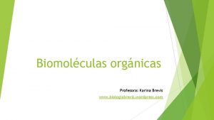 Biomolculas orgnicas Profesora Karina Brevis www biologiabrevis wordpress