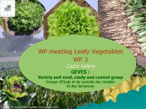 WP meeting Leafy Vegetables WP 3 Cadot Valrie