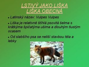 LSTIV JAKO LIKA OBECN Latinsk nzev Vulpes Lika