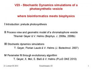V 23 Stochastic Dynamics simulations of a photosynthetic