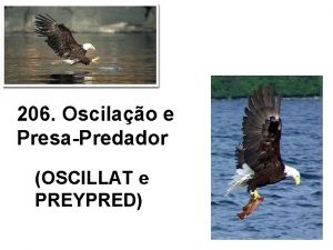 206 Oscilao e PresaPredador OSCILLAT e PREYPRED As