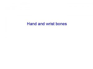 Hand wrist bones Eminentia carpi radialis Tuberculum ossis