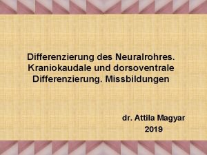 Differenzierung des Neuralrohres Kraniokaudale und dorsoventrale Differenzierung Missbildungen