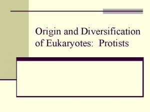 Origin and Diversification of Eukaryotes Protists Eukaryotic Cells
