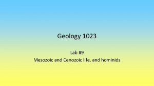 Geology 1023 Lab 9 Mesozoic and Cenozoic life