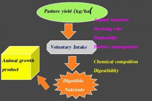 Pasture yield kgha Animal behavior Stocking rate Palatability