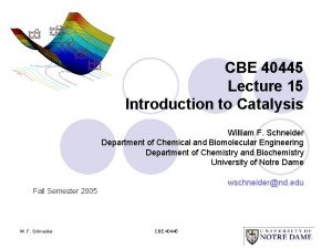 CBE 40445 Lecture 15 Introduction to Catalysis William