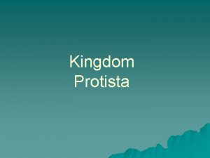 Kingdom Protista KINGDOM PROTISTA Protists are eukaryotes that