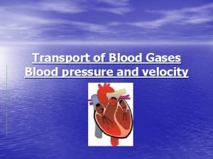 Transport of Blood Gases Blood pressure and velocity