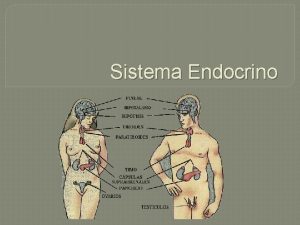 Sistema Endocrino Sistema Endocrino Es un conjunto de