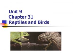 Unit 9 Chapter 31 Reptiles and Birds What