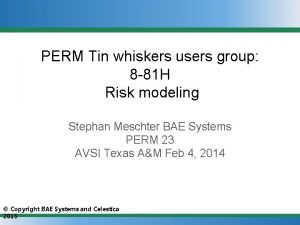 PERM Tin whiskers users group 8 81 H