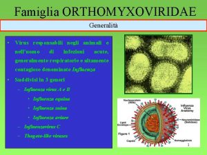 Famiglia ORTHOMYXOVIRIDAE Generalit Virus responsabili negli animali e