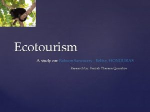 Ecotourism A study on Baboon Sanctuary Belize HONDURAS