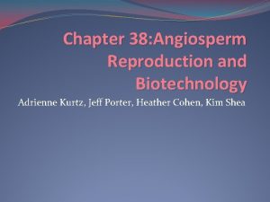 Chapter 38 Angiosperm Reproduction and Biotechnology Adrienne Kurtz